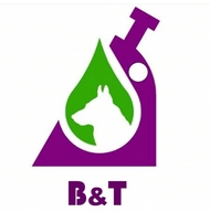 Logo BT